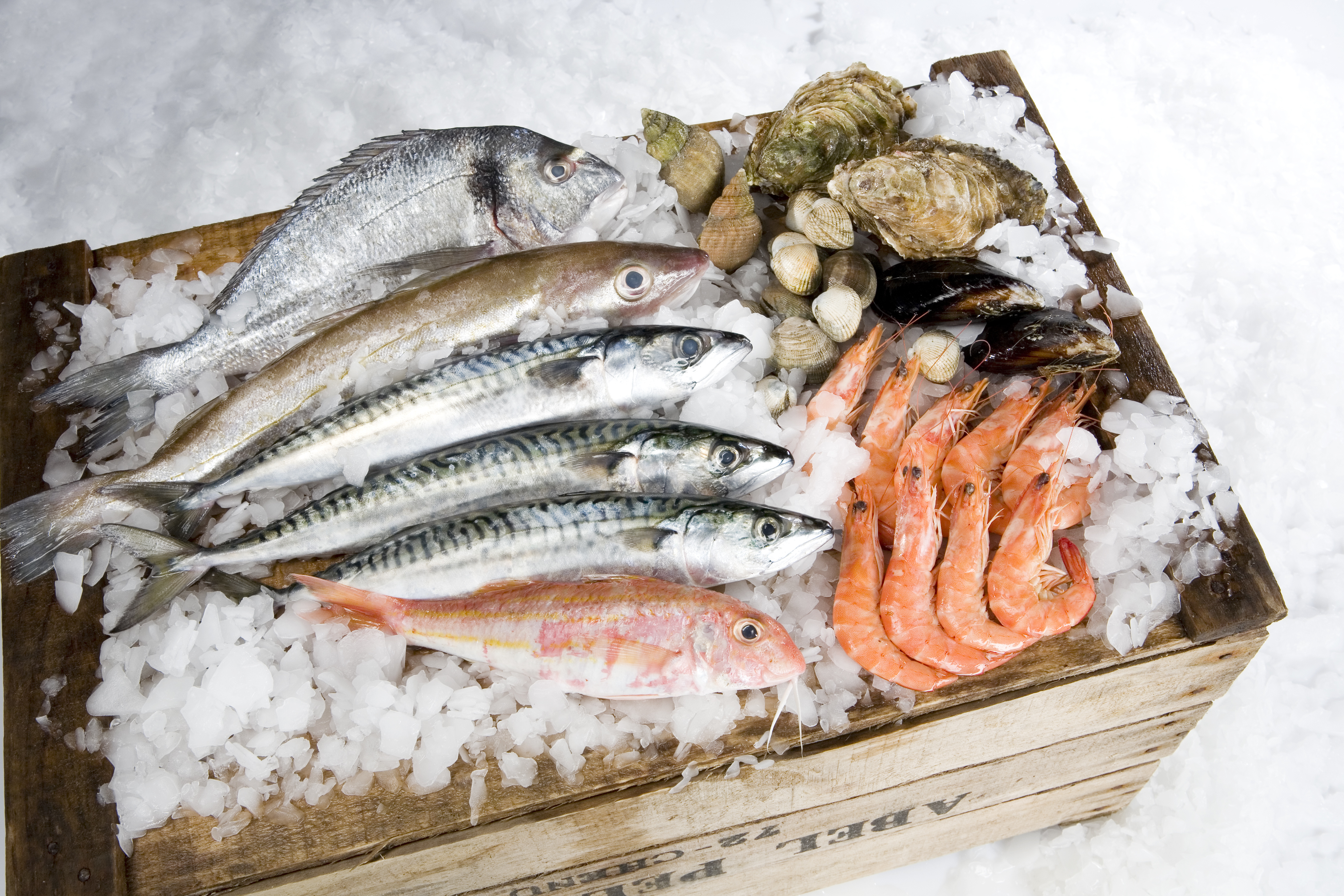 Responsible Seafood delivery in Hong Kong - M&C Asia